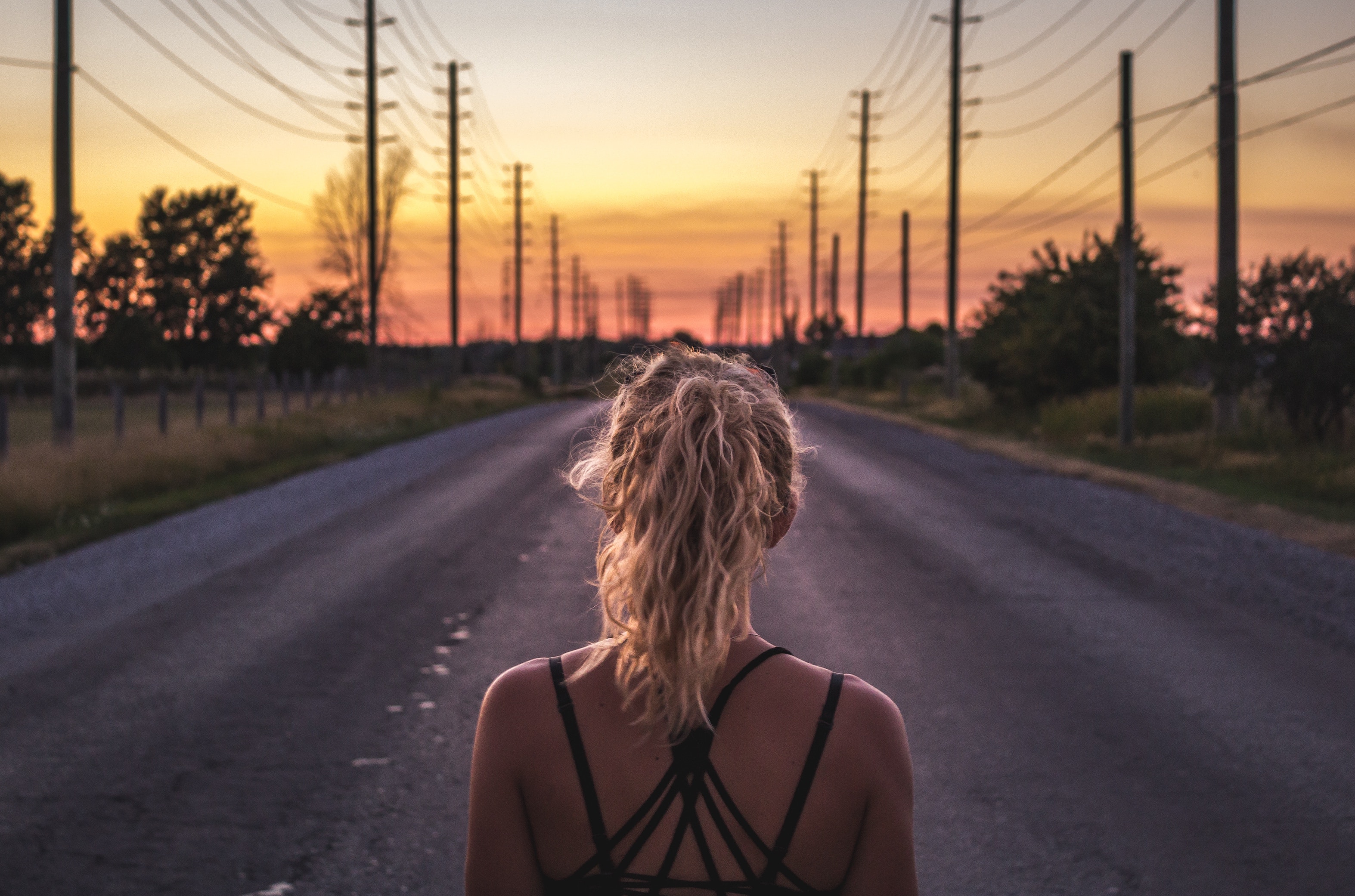 You're likely to encounter a few roadblocks along the way. Photo by Seth Macey on Unsplash
